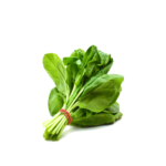 Spinach