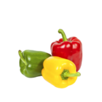 Bell Pepper